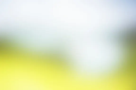 ポケットウィン カジノ サポート